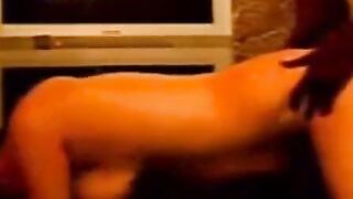 Girl's Interracial Threesome with Hubby and Black Bull