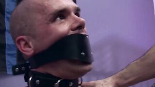 MuscleJockBound.com - Cute Cullen Cable's nuts tingle from master's actions