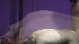 BondageBadBoy.com - Master anally uses cute twink Jakobe Williamson