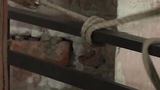 BoyDungeon.com - Jock with tats has his way with young tied-up bound twink's ass