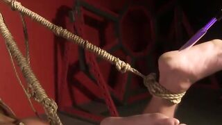 Drake Jaden hogtied and electrified by Preston Steel