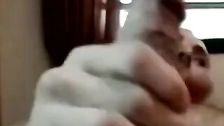 JoeSchmoeXXX.com - Amateurs have a good time lying next to each other jerking off wit