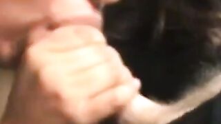 Amateur Latina MILF's Heavenly Blowjob