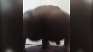 Big Booty Babe Rides Her Dildo