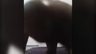 Big Booty Babe Rides Her Dildo