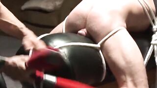MuscleJockBound.com - Bound Luke Riley's cock swollen from bat pounding