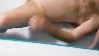 Großer Schwanz fickt nasse deutsche MILF