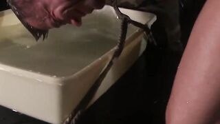 Mulengro bound Tyler Saint bent him over and dunked