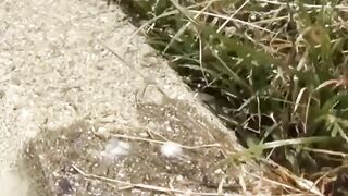 Nature demands outdoor urine when bladder cant wait longer