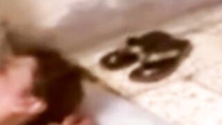 Arab Girl Sucks and Fucks Hard at Home