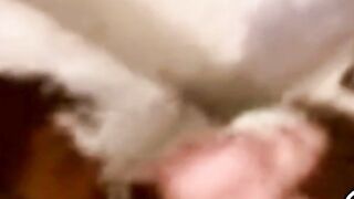 Arab Girl Sucks and Fucks Hard at Home