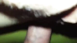 German MILF Loves Amateur Anal - Part 2