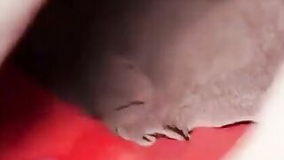 Cuckold's MILF Sexgirl Creampied by a Stranger