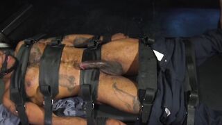 Black Pervert Bound and Punished