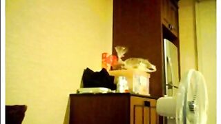 Taiwanese Amateur Couple Fingering on Webcam