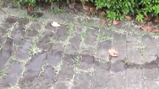 Clueless of creep filming this Japanese babe pisses public