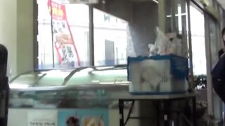 Camera watches Japanese ladies pee in a cramped restroom