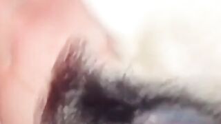 Homemade Adult Video - Hiroi