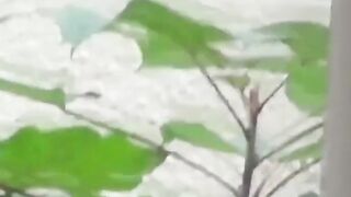 Wicked Japanese girls drain bladders in private outdoor nooks