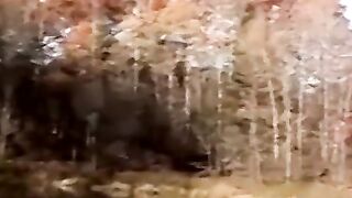Amateur feeds chubbydaddy cock then unloads cum