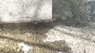 Sultry twisted girls empty bladders with hot urine streams