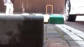 Peeping lens grabs Asian vixen peeing next to her vehicle
