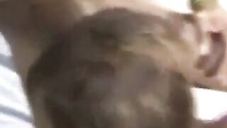 Big Booty Black Amateur Gina Takes it Doggy Style