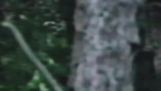 Vintage Marty King turns into a pig during wild group sex Hoe 2