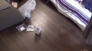 Japanese unaware she spills piss while sleeping on cam