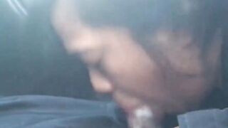 Amateur Blowjob with Cumshot