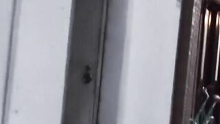 Various Japanese babes caught peeing in public alleys
