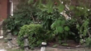Multiple Japanese stunners snagged by peeper peeing outdoors