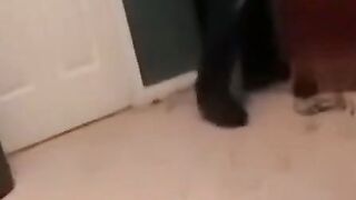 JoeSchmoeXXX.com - Gay amateurs masturbate to porn while a black guy blows them exper