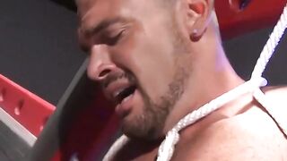 MuscleJockBound.com - Jesse Balboa moans as Dire Callahan pins dick with clothespins
