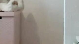 Big-Ass Brunette Plays with Toys on Webcam