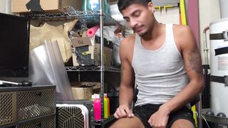 Magic Mike Hung breeds troublemaker Apollo Fates deep