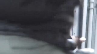 Pretty Japanese ladies vie for the hidden cameras attention