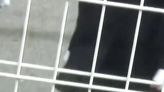 Voyeur enjoys recording Japanese hotties in daring skirts