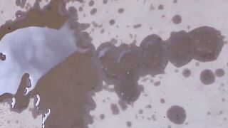 Asian women lift their panties to pee before a hidden camera