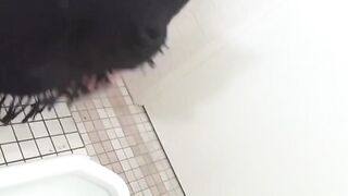 Peeping footage of Asian girls urinating in public stalls