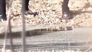 Hidden cam catches Japanese babes squatting to piss outdoors