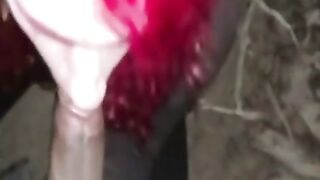 Interracial Blowjob in the Great Outdoors Hoe 2