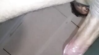 CULIAR PERRA - SQUIRTING ARGENTINIAN AMATEUR