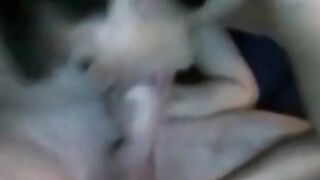 Asian Amateur Blowjob Queen