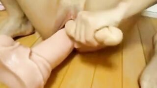 Huge Dildo Pussy Fuck On Webcam