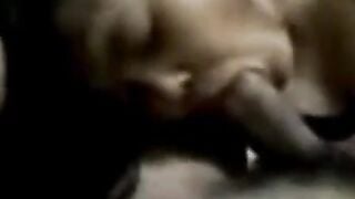 Amateur Asian Babe in Blowjob Video - Indonesian Scandal