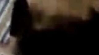 Amateur Asian Babe in Blowjob Video - Indonesian Scandal