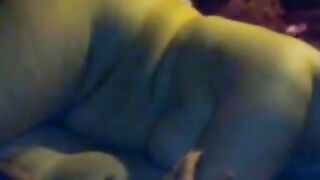 Mature Amateur Couple's Doggy-Style Petting Session