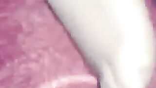 Cum on Arab Girl - A Femdom Webcam Show