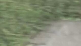 Japanese teen girls mischief leads to outdoor pee splashes